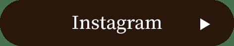 Instagram 보기